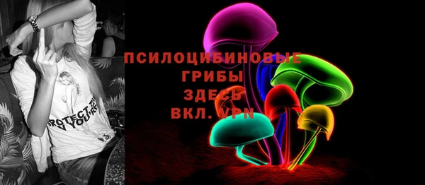 стафф Аркадак