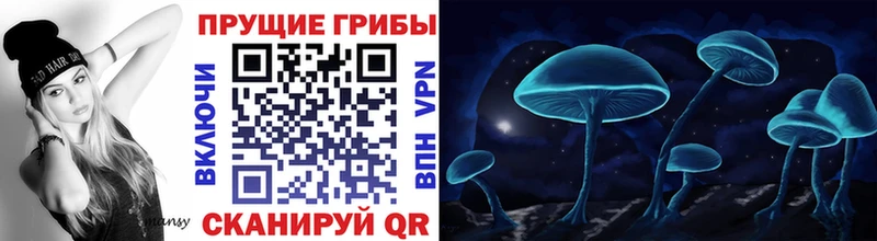 darknet телеграм  Ахтубинск  Галлюциногенные грибы Psilocybine cubensis 