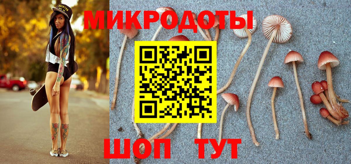 Ахтубинск  Галлюциногенные грибы мухоморы  Псилоцибиновые грибы мухоморы  Вход с VPN 